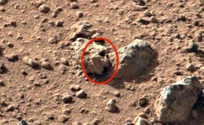 UFO爱好者Scott Waring称火星探测车“好奇号”拍摄的照片中发现疑似外星人头骨