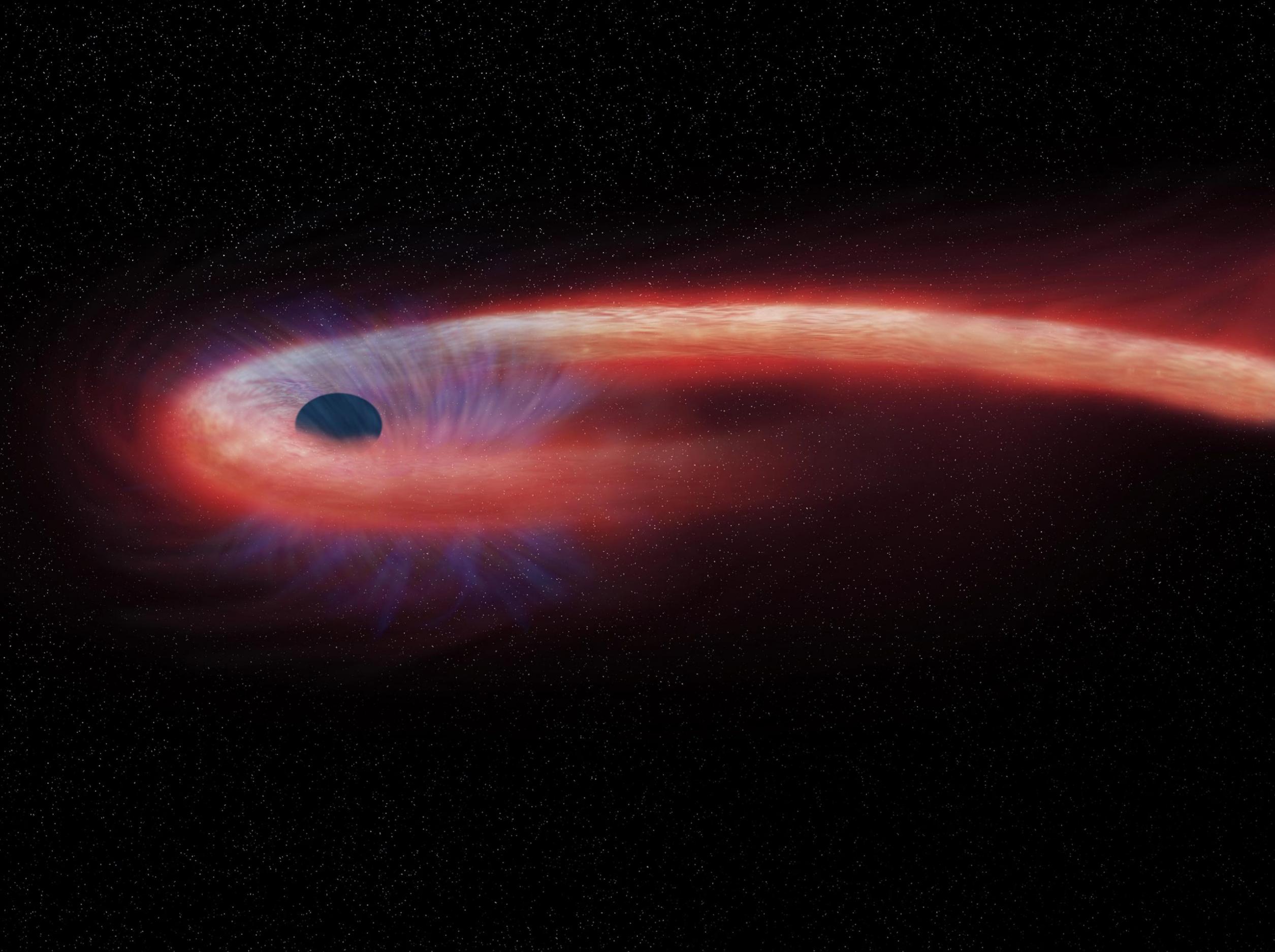 天文学家首次探测到被黑洞撕碎的恒星传达出的最后讯息
