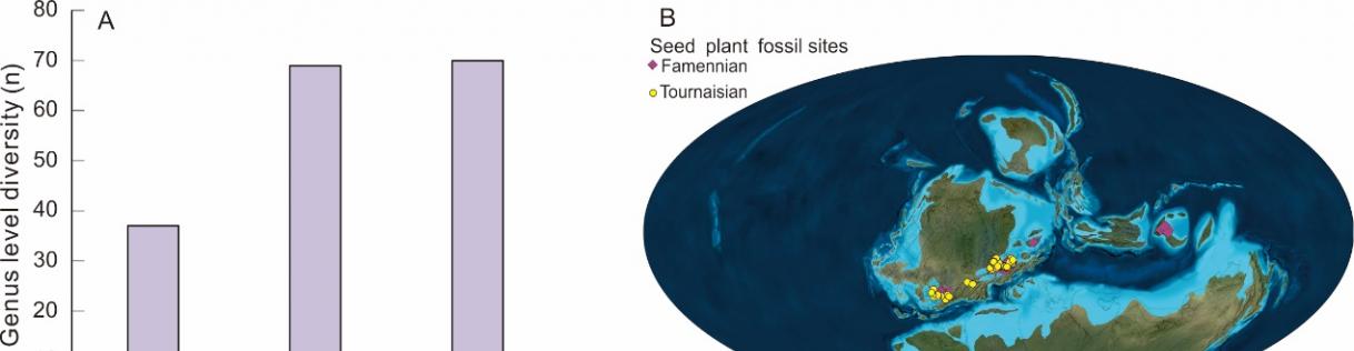 晚泥盆世-早石炭亚纪种子植物属级多样性和分布范围变化