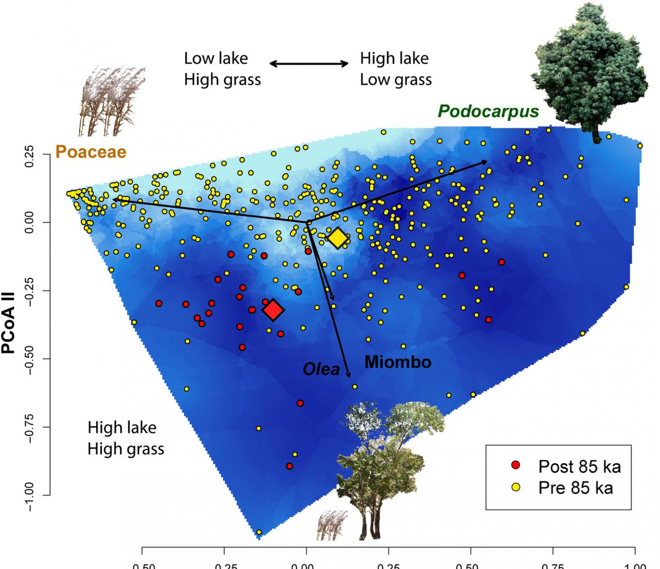 非洲东部马拉维湖北岸的考古证据表明古人类用火改变整个生态系统