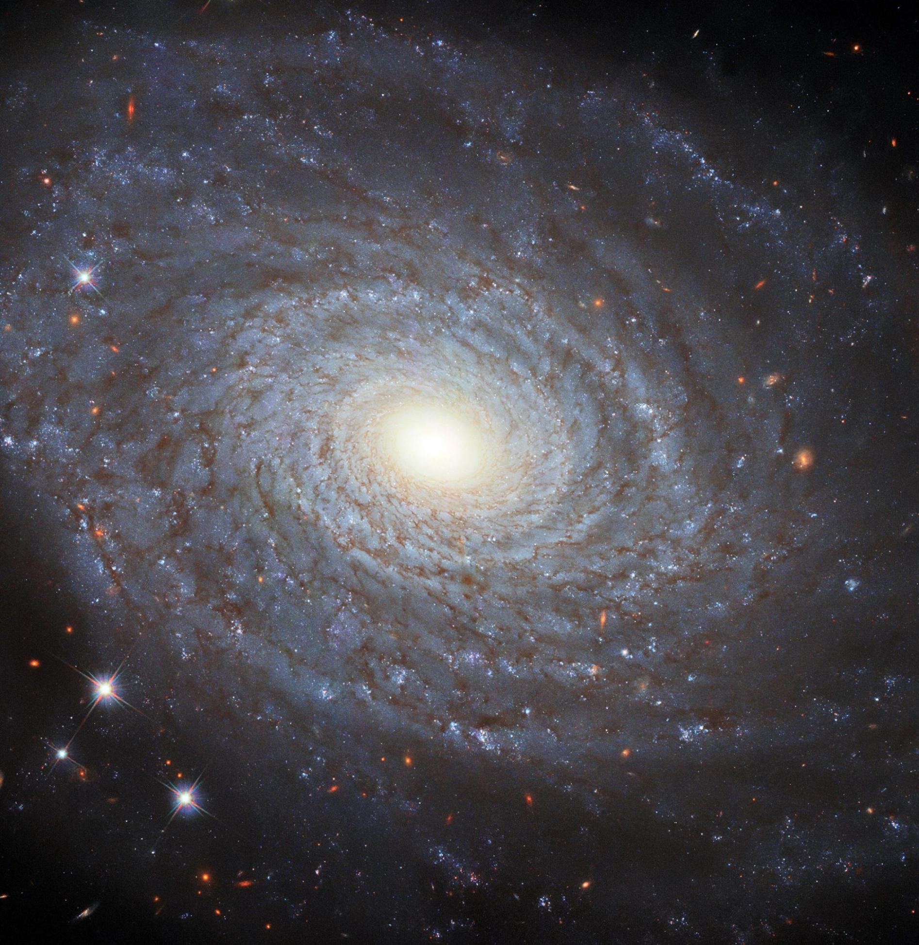哈勃太空望远镜捕捉到NGC 691同名螺旋星系的详细画面