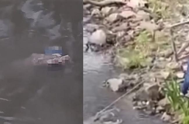 墨西哥塔毛利帕斯州女子在河边洗衣服 突然遭到鳄鱼攻击咬死