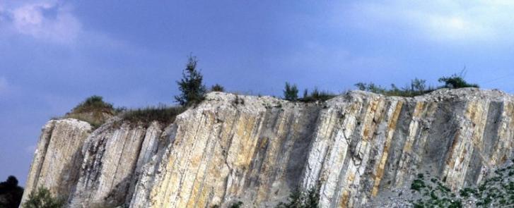 德国萨尔茨吉特附近的采石场成为全球地质参考点“金钉子”