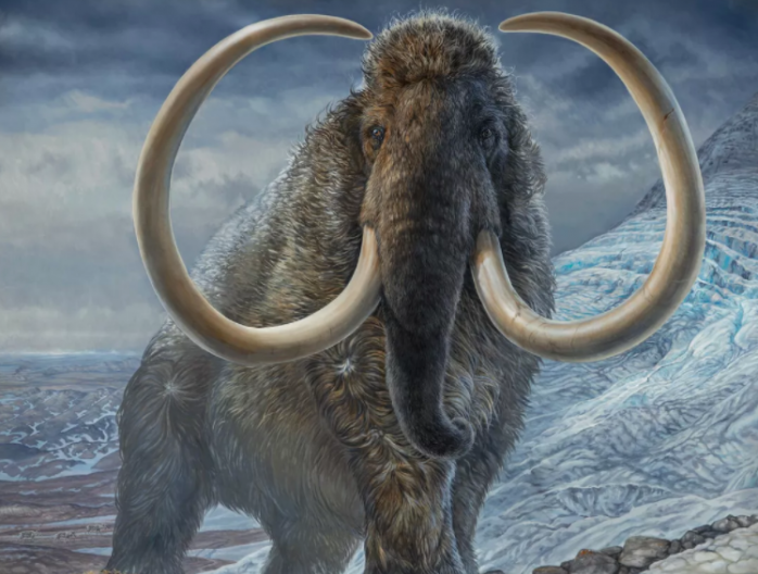 新研究揭示1.7万年前长毛猛犸象的悲惨命运