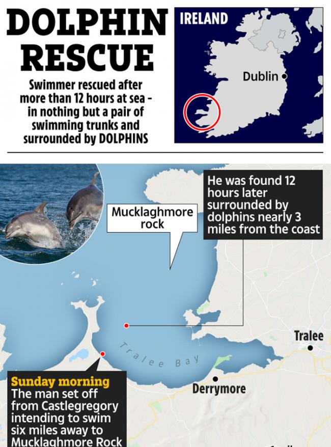 英国男子想要横跨海峡游到一半体力不支 一群海豚帮助才让他没有失温死亡