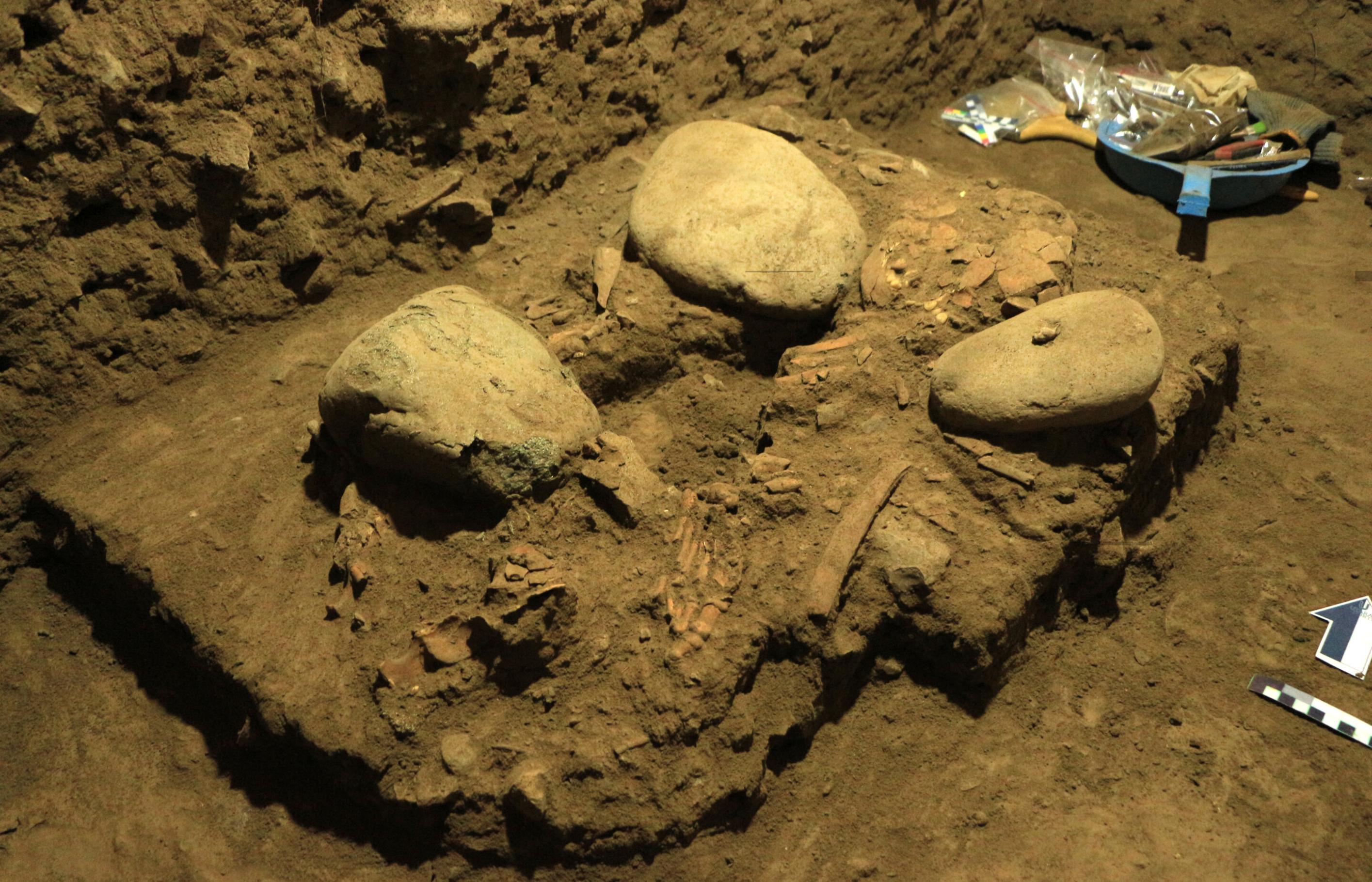 印度尼西亚苏拉威西岛发现7200年前遗骸 新型古人类“图阿莱人”有丹尼索瓦人基因
